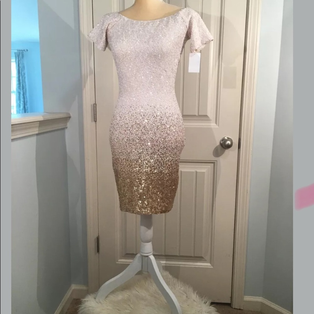 Stunning Nordstrom Rack cocktail dress never worn!